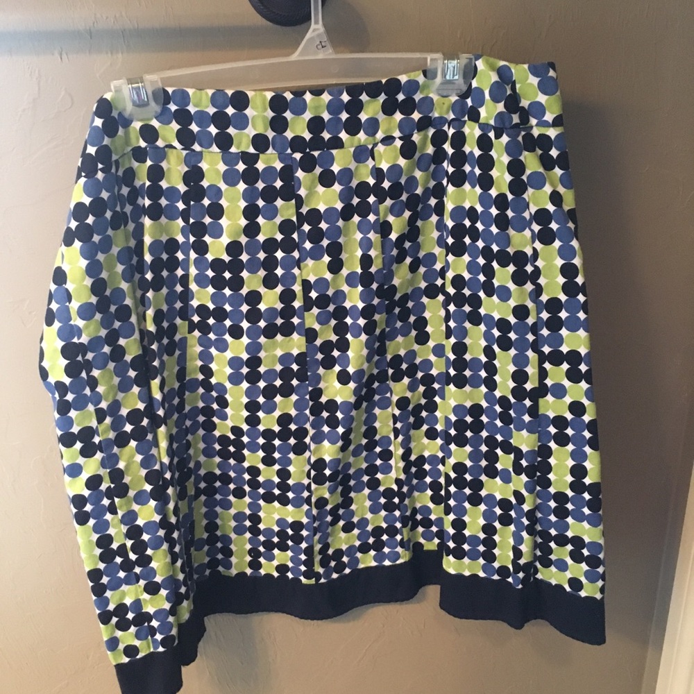 Ann Taylor skirt